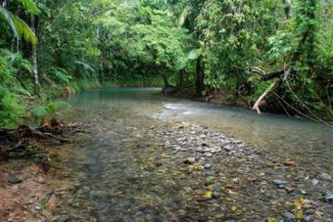 Hotel Heritage Lodge & Spa | Daintree | Queensland | Australia 12