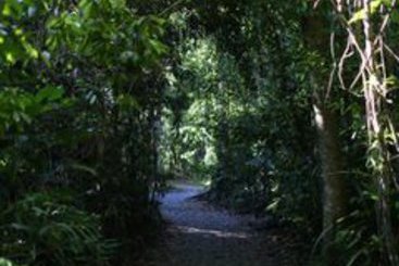 Hotel Heritage Lodge & Spa | Daintree | Queensland | Australia 8