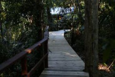 Hotel Heritage Lodge & Spa | Daintree | Queensland | Australia 9