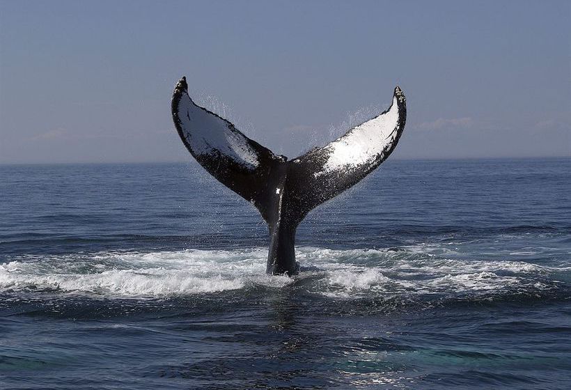 Hotel BreakFree Great Sandy Straits | Hervey Bay | Queensland | Australia 7