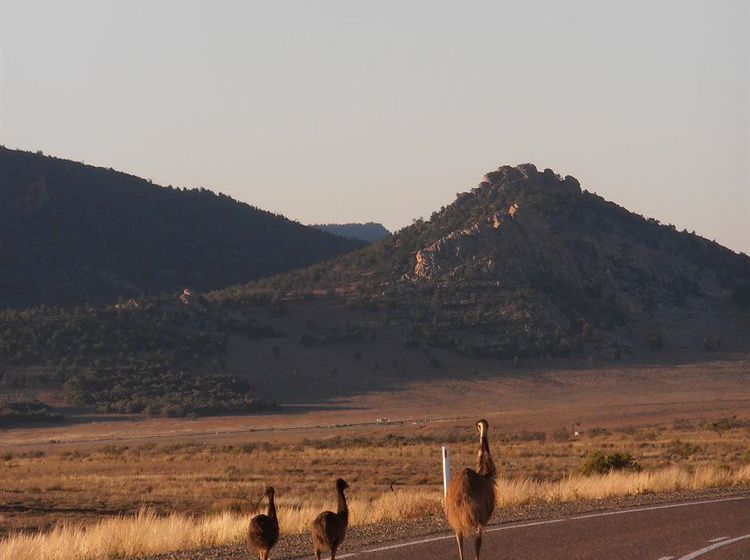 Hotel Wilpena Pound Resort | Hawker | South Australia | Australia 11