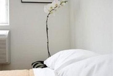 The Rex Hotel | Toronto | Ontario | Canada 6