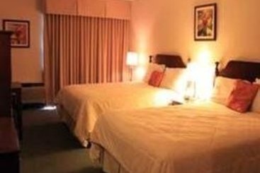 Hotel Super 8 London | London | Ontario | Canada 3