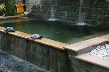 Moonshadow Villas | Darwin | Northern Territory | Australia 8