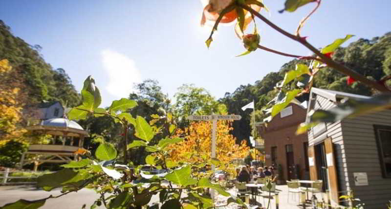 Walhalla's Star Hotel | Walhalla | Victoria | Australia 12