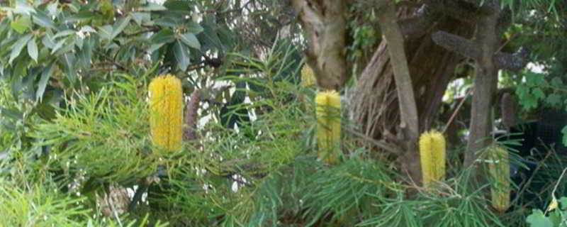 Bed and Breakfast The Open House | Parndana | South Australia | Australia 11