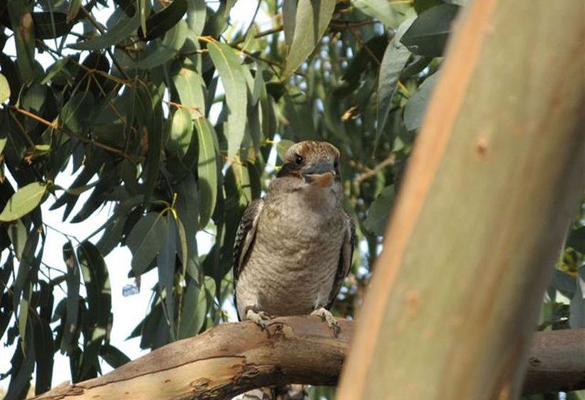 Bed and Breakfast The Open House | Parndana | South Australia | Australia 3