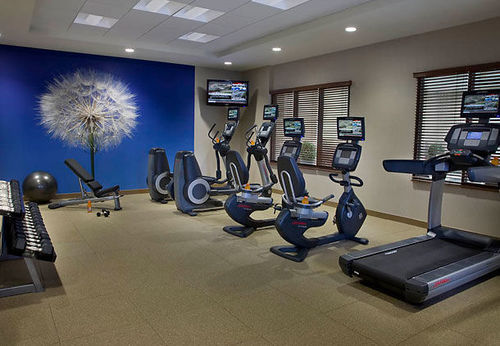 Hotel Springhill Suites By Marriott Toronto Vaughan | Vaughan | Ontario | Canada 13