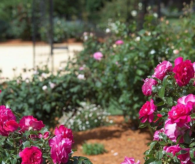 Hotel Country Comfort International Mount Gambier | Mount Gambier | South Australia | Australia 10