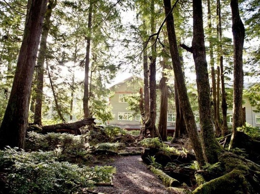 Hotel Jamie S Rainforest Inn Tofino Columbia Británica