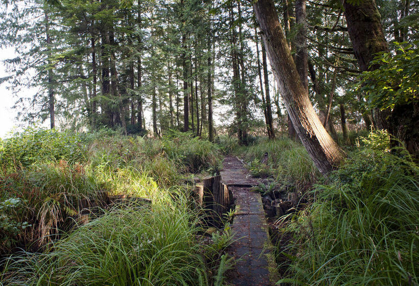 Hotel Jamie S Rainforest Inn | Tofino | British Columbia | Canada 19