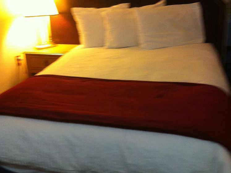 Motel Three Diamond Inn | Niagara Falls | Ontario | Canada 14