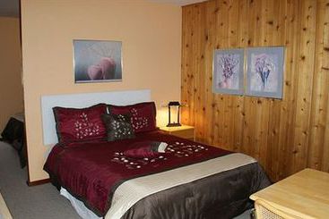 Motel Rocky Mountain Springs Lodge | Radium hot Springs | British Columbia | Canada 4