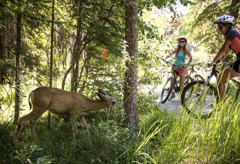 Hotel Pine Inn At Panorama Mountain Village | Panorama | British Columbia | Canada 3