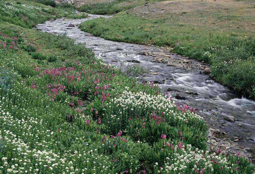 Motel Hi Valley Motor Inn | Valleyview | Alberta | Canada 1