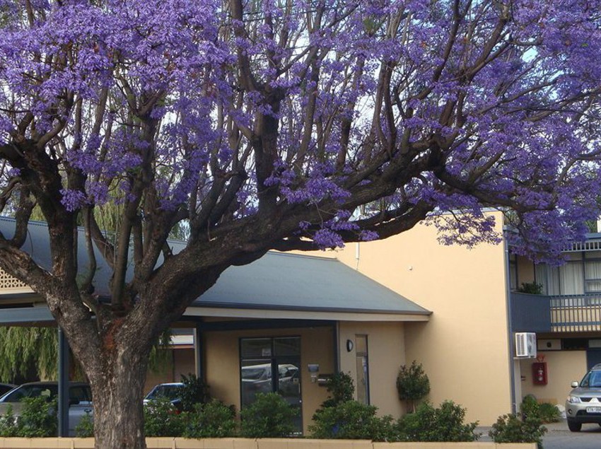 Hotel Welcome Inn 277 Australia Meridional