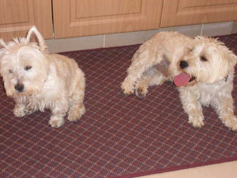 Hotel Santa Maria Executive Suites Australia Occidental