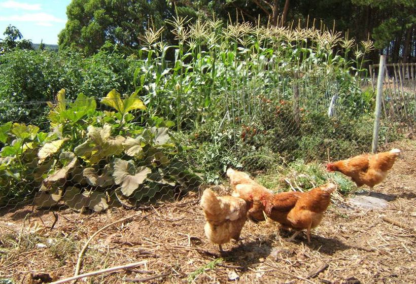 Hotel Shambhala Guesthouse | Port Stephens | New South Wales | Australia 4