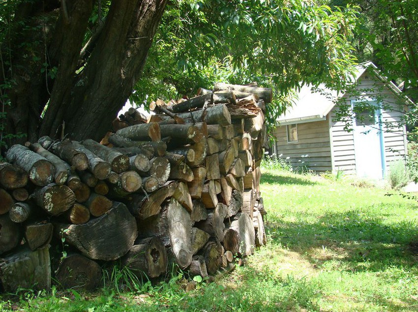 Hotel Allenvale | Lorne | Victoria | Australia 2