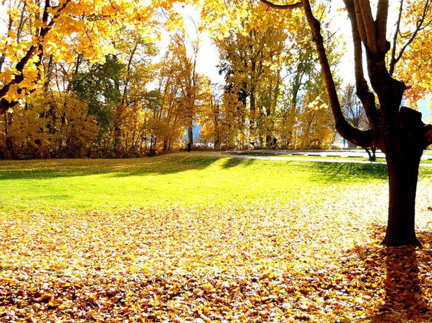 Hotel Acadian Motor Inn Kamloops Columbia Británica
