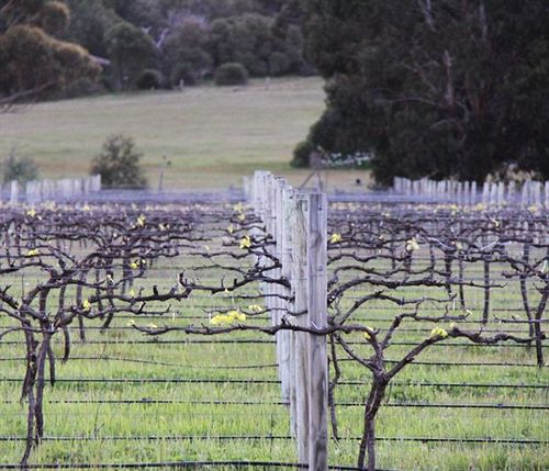 Hotel Empire Spa Retreat | Yallingup | Western Australia | Australia 2