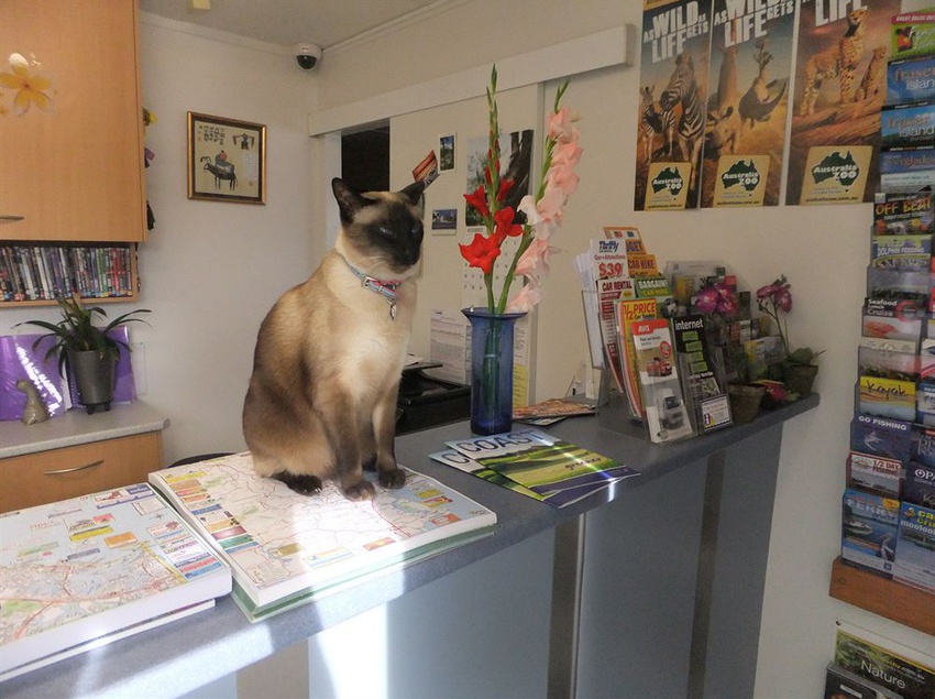 Top Spot Motel | Maroochydore | Queensland | Australia 7