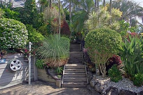 Hotel The Lower Decks | Byron Bay | New South Wales | Australia 2