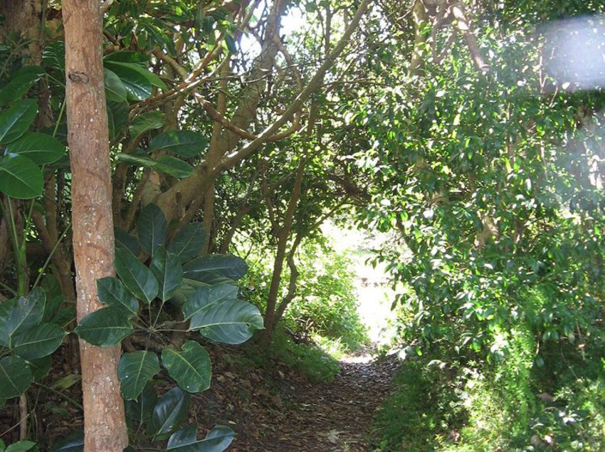 Wollongbar Motel | Byron Bay | New South Wales | Australia 2