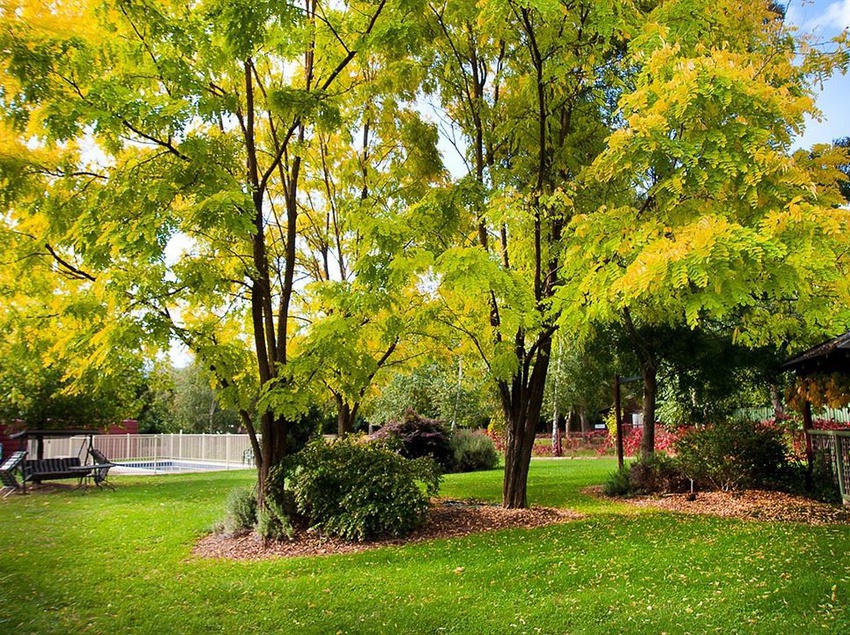 Alpine Valley Cottages | Bright | Victoria | Australia 2