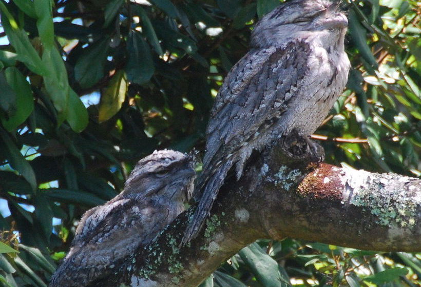 Hotel Byron Bay Farmstay | Byron Bay | New South Wales | Australia 13