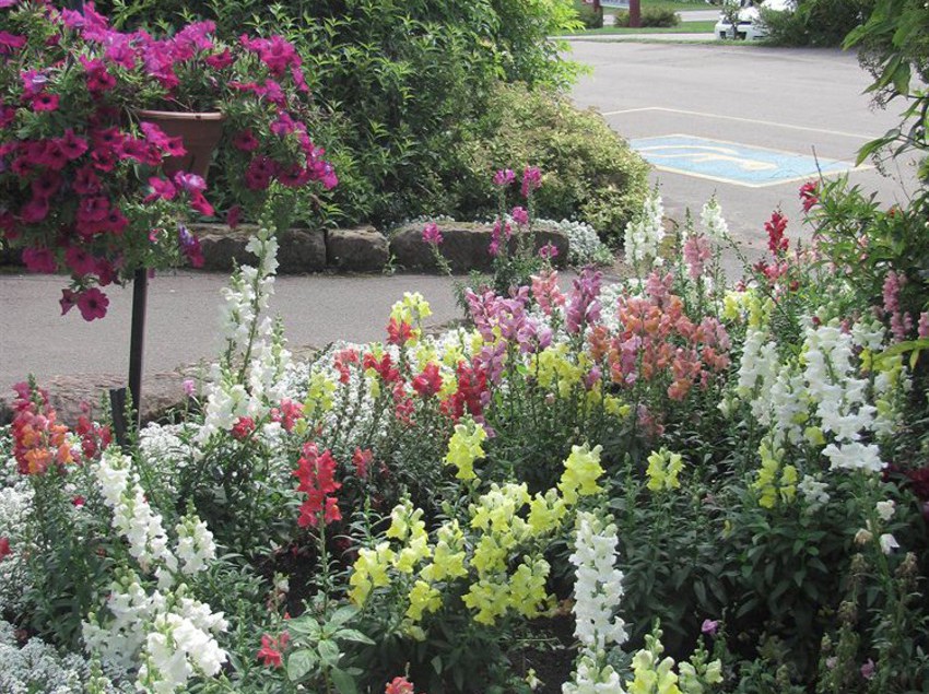 Stanley Bridge Country Resort Kensington | Kensington | Prince Edward Island | Canada 1