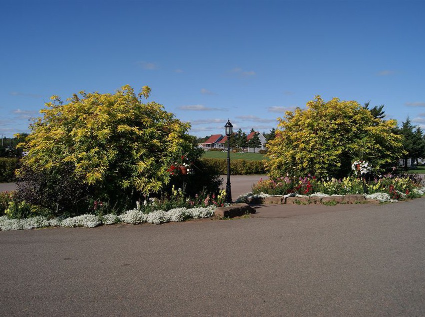 Stanley Bridge Country Resort Kensington | Kensington | Prince Edward Island | Canada 2