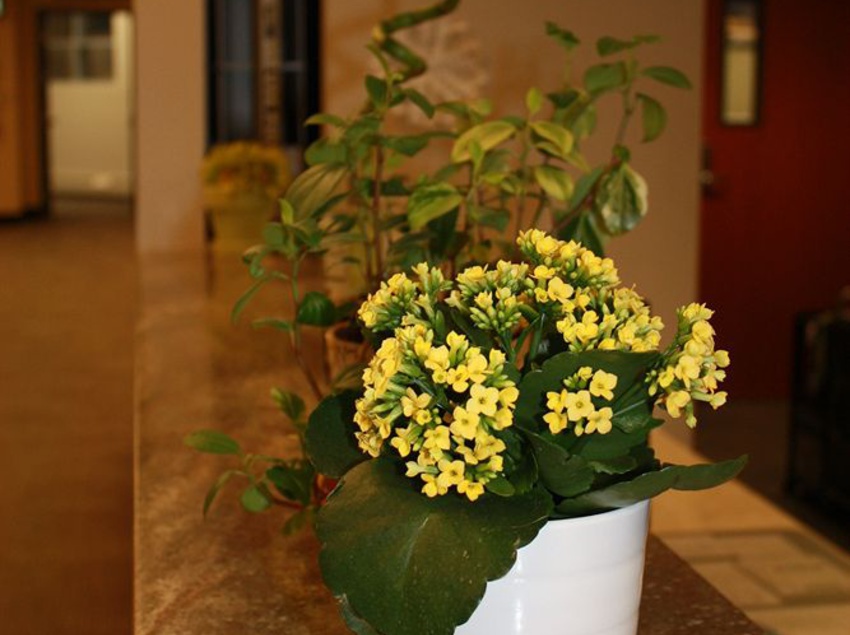 Hotel University Of Alberta - Guest Accommodation | Edmonton | Alberta | Canada 17