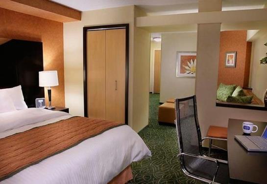 Hotel Fairfield Inn And Suites By Marriott Guelph Guelph