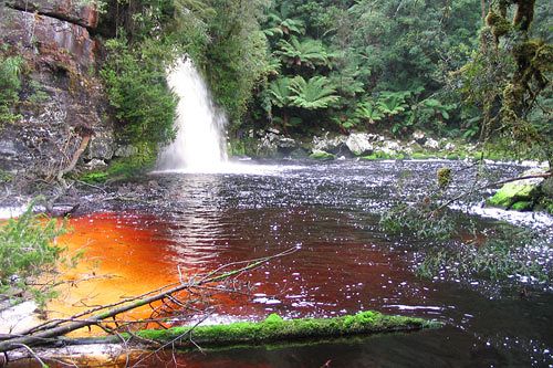 Strahan Bungalows | Strahan | Tasmania | Australia 12