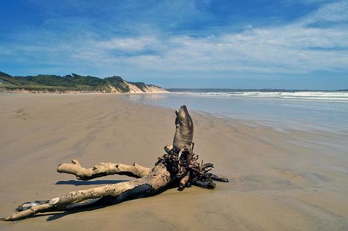 Strahan Bungalows | Strahan | Tasmania | Australia 9