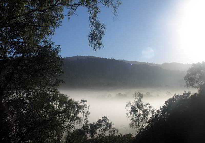Hotel Seclude Rainforest Retreat Airlie Beach