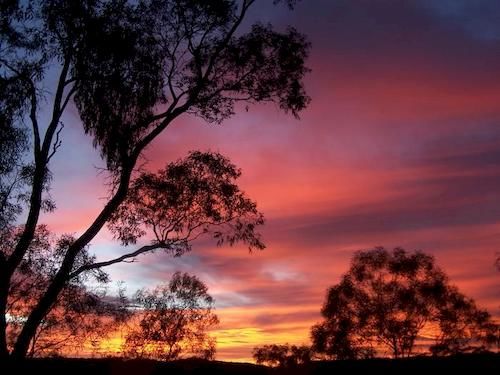 Hotel Cypress Ridge Cottages
