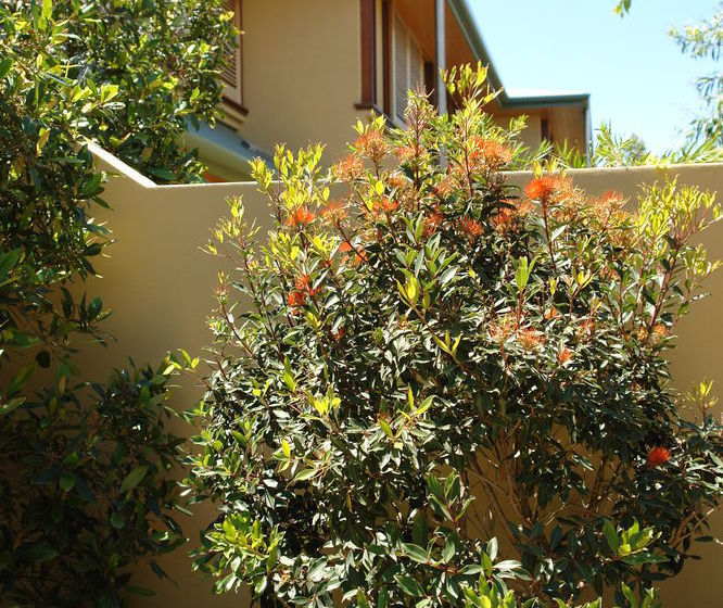 Hotel Beach Suites | Byron Bay | New South Wales | Australia 20