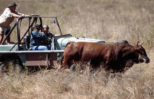 Hotel Bullo River Station | Timber Creek | Northern Territory | Australia 14