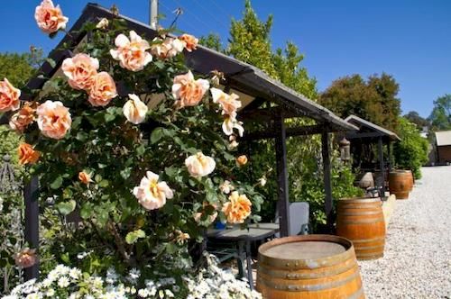 Motel Beechworth On Bridge | Beechworth | Victoria | Australia 18