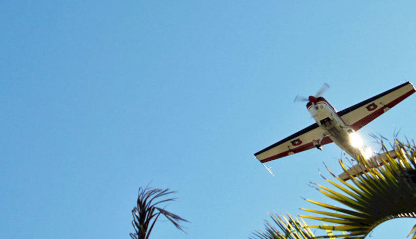 Motel Pacific Palms Motor Inn | Marcoola | Queensland | Australia 14