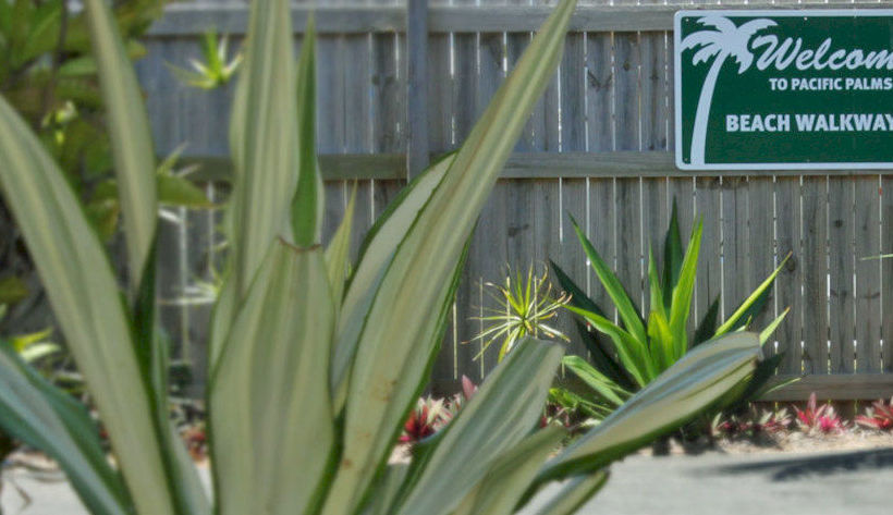 Motel Pacific Palms Motor Inn | Marcoola | Queensland | Australia 9