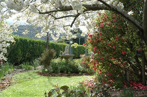 Pension Rosie's Inn | New Norfolk | Tasmanien | Australien 2