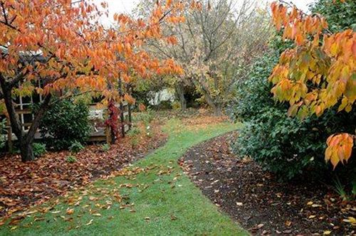 Pension Rosie's Inn | New Norfolk | Tasmanien | Australien 4