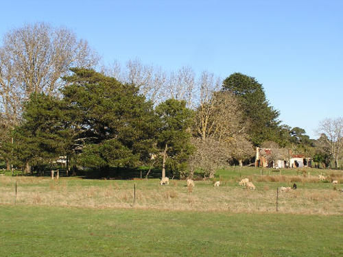 Bed and Breakfast Auberge Woodend | Woodend | South Australia | Australia 1