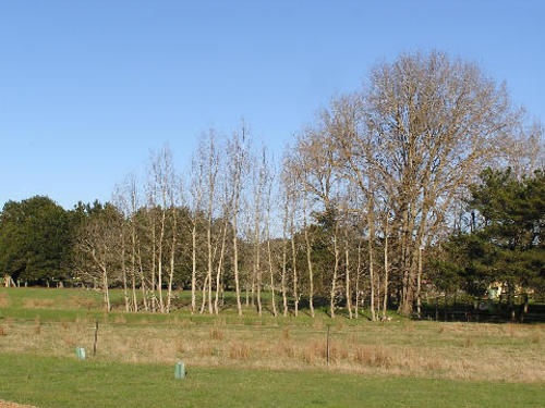 Bed and Breakfast Auberge Woodend | Woodend | South Australia | Australia 6