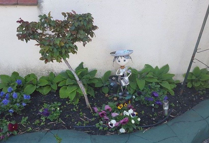 Albany Havana Villas | Albany | Western Australia | Australia 19