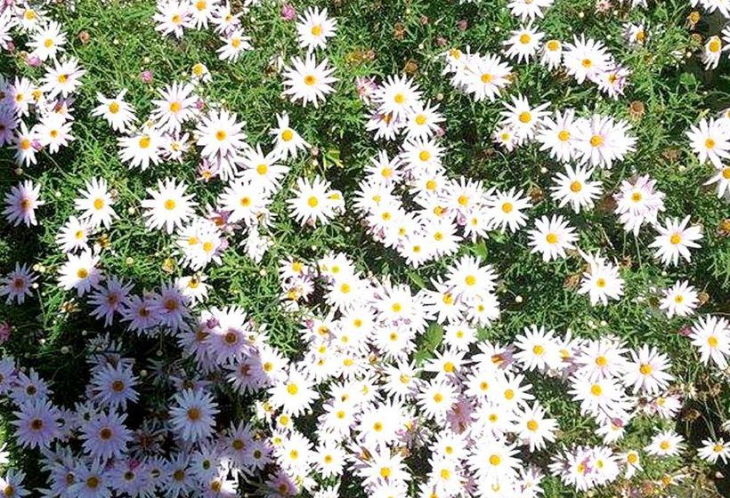 Albany Havana Villas | Albany | Western Australia | Australia 20