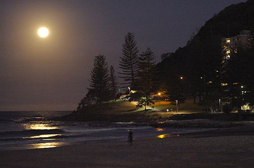 Hillhaven Holiday Apartments | Burleigh Heads | Queensland | Australia 4